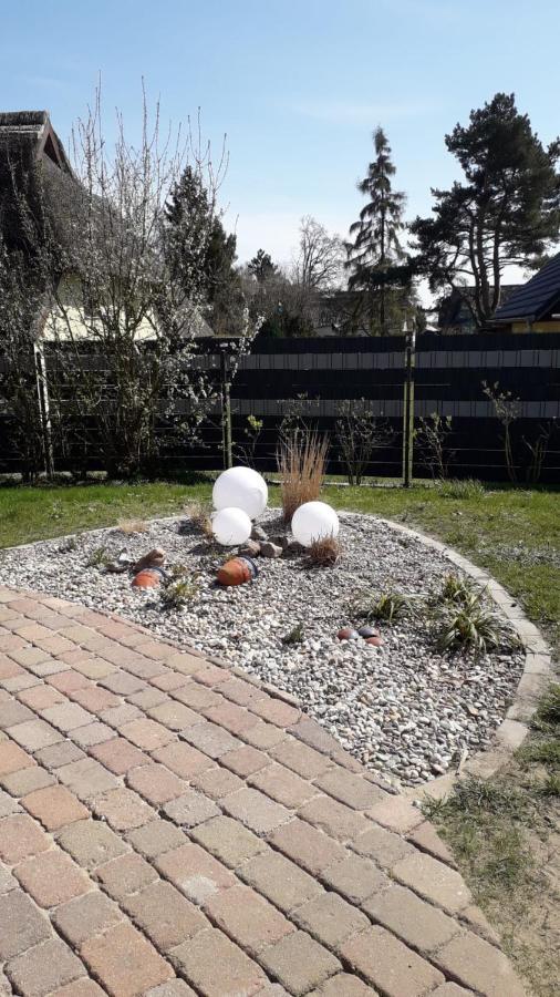 Ferienwohnung Born am Darßwald EG Exterior foto